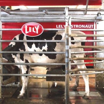 Feed Supplements & Nutritional Products